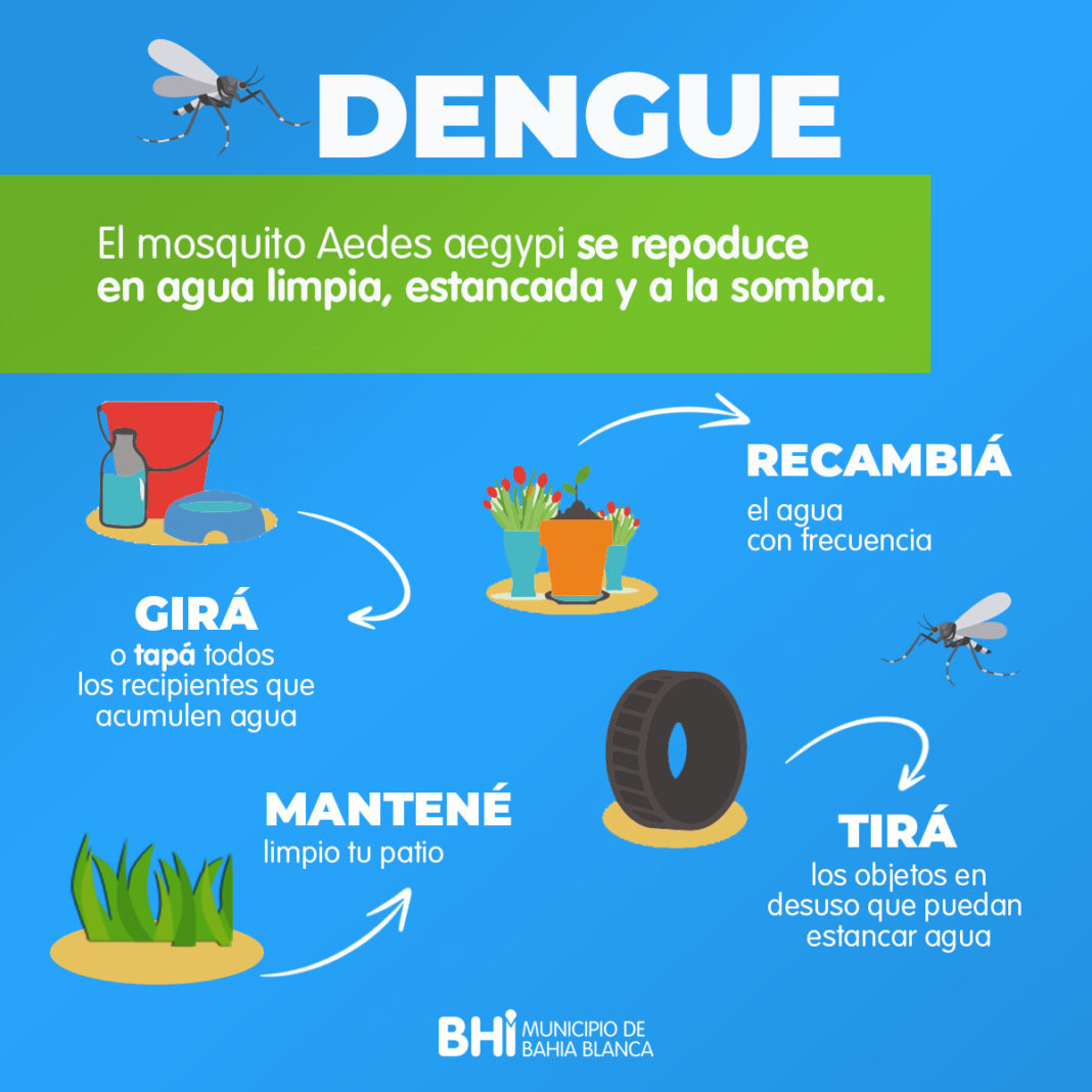 Recomendaciones para prevenir el Dengue | Prensa Bahía