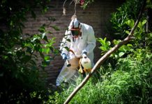 Prevención de dengue en Villa Delfina