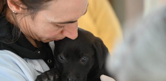 Veterinaria y Zoonosis – se suman jornadas de vacunación en barrios, desparasitación y antisárnicos